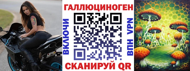 blacksprut сайт  Киренск  Псилоцибиновые грибы Psilocybe  закладки 